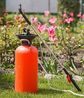 Pest Control Morangup